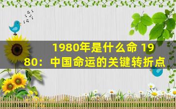 1980年是什么命 1980：中国命运的关键转折点